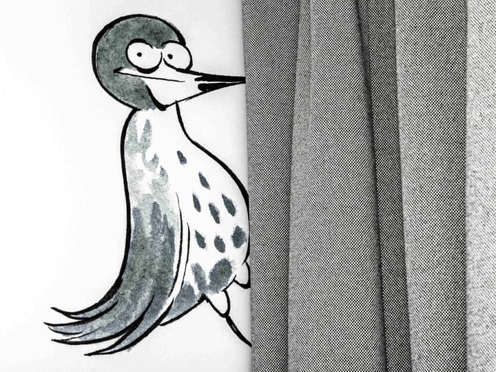 Ibis Styles Genève Carouge