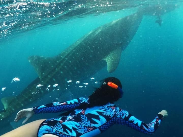 Hanifaru Transit Inn