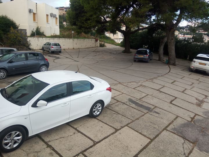 Les Mimosas Tabarka