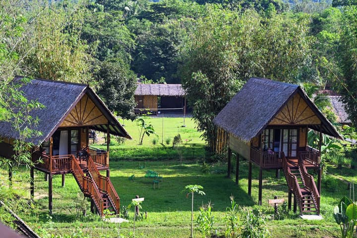 Our Jungle Camp