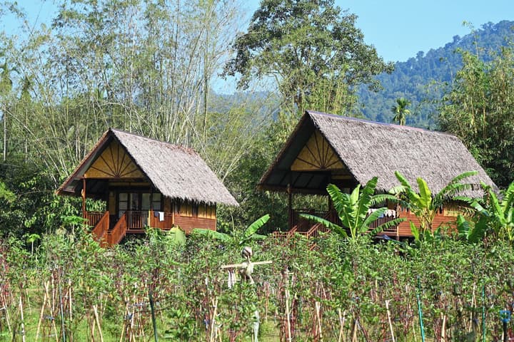 Our Jungle Camp