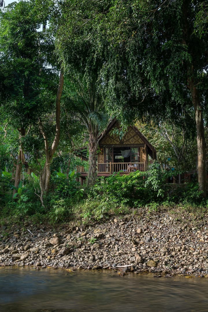 Our Jungle Camp