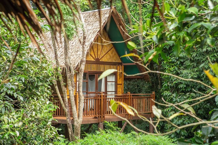 Our Jungle Camp