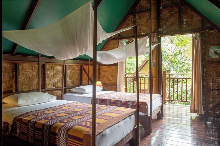 Our Jungle Camp