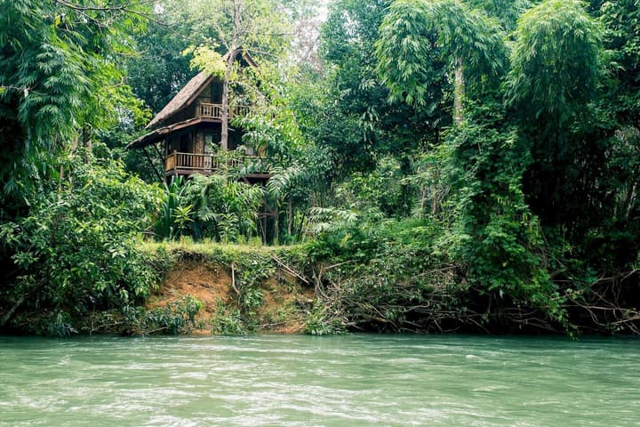 Our Jungle Camp