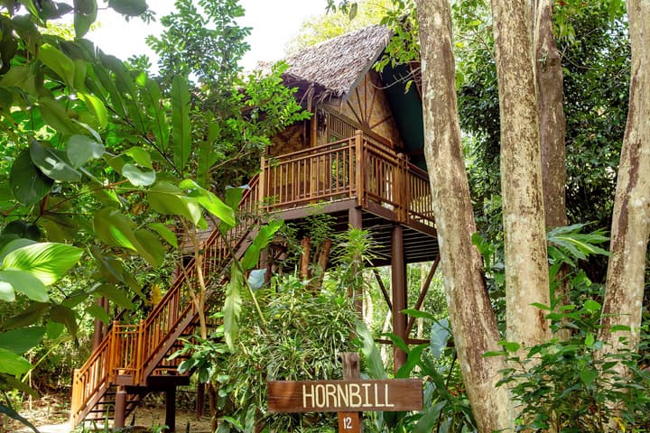 Our Jungle Camp