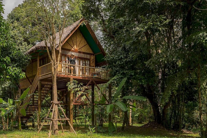 Our Jungle Camp