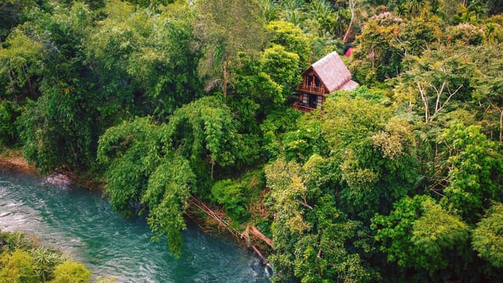 Our Jungle Camp