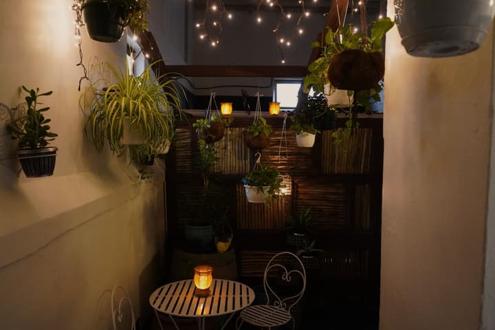 Urban Hive Backpackers