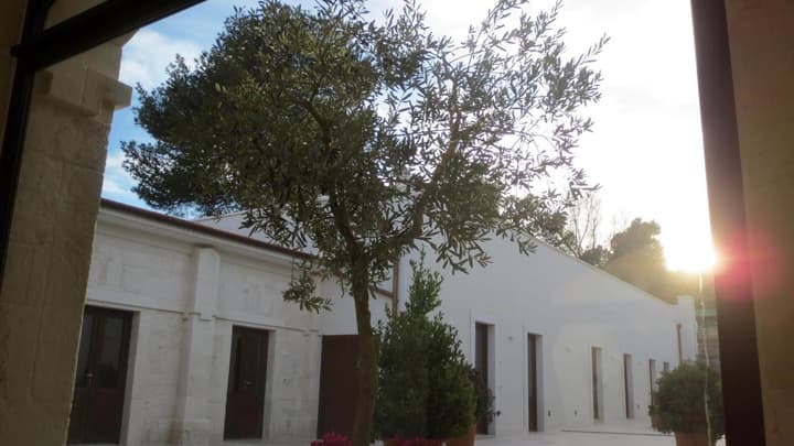 Domus Antiqua Residence