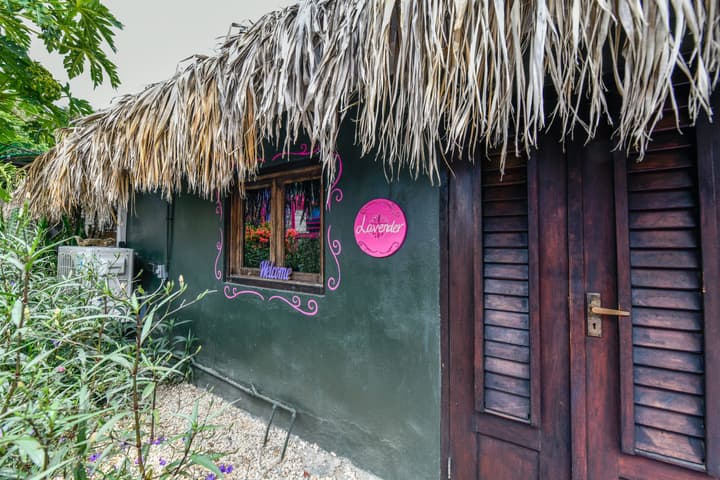 Mammaloe's Aruba Boho Boutique Hotel