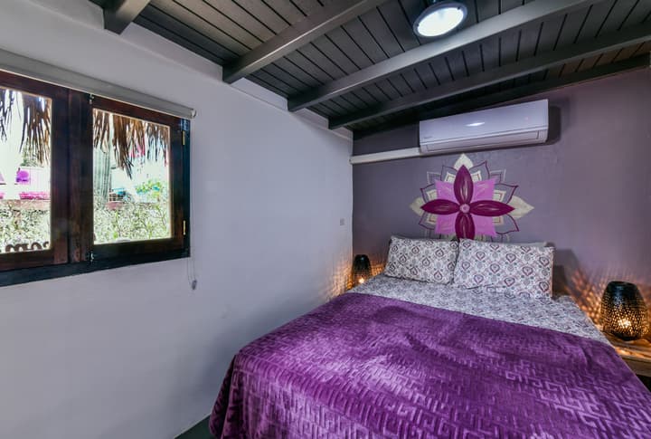 Mammaloe's Aruba Boho Boutique Hotel