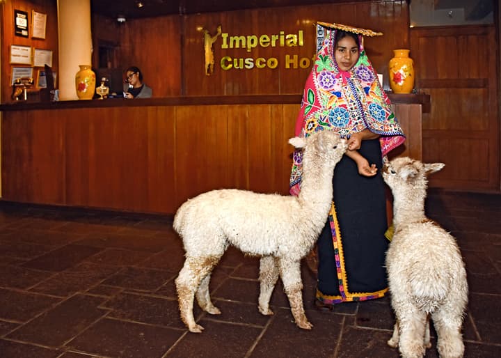 Imperial Cusco Hotel
