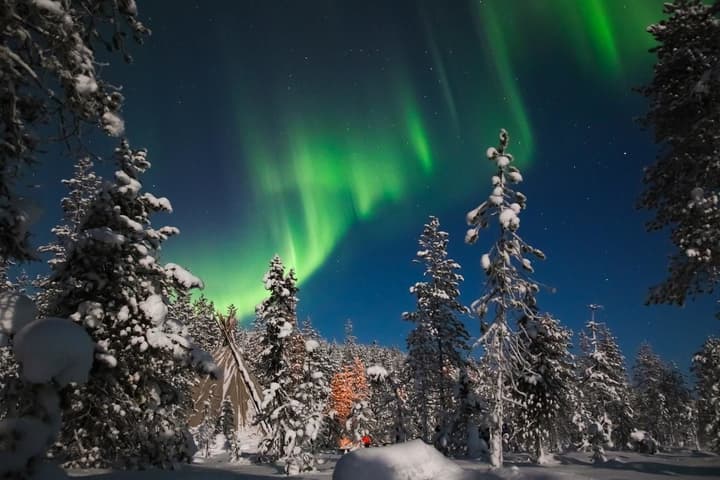 Arctic Resort Delight