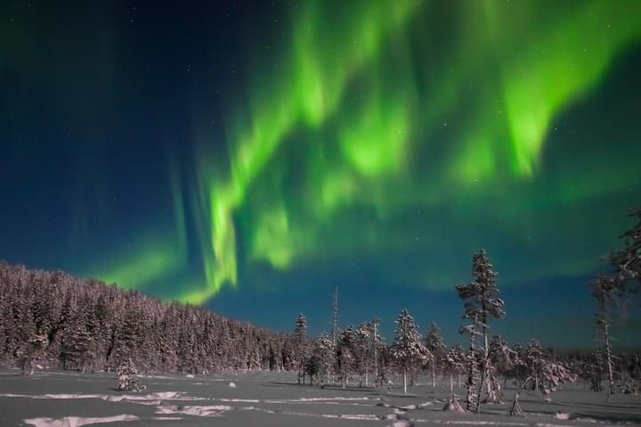 Arctic Resort Delight