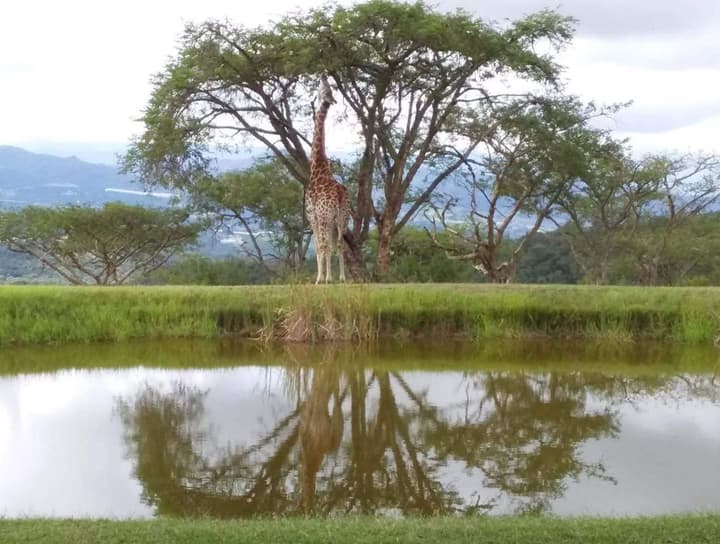 Muluwa Lodge