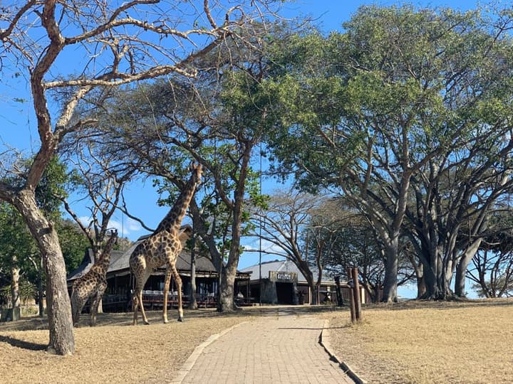Muluwa Lodge