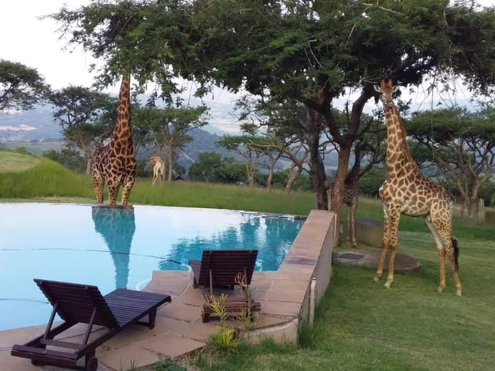 Muluwa Lodge