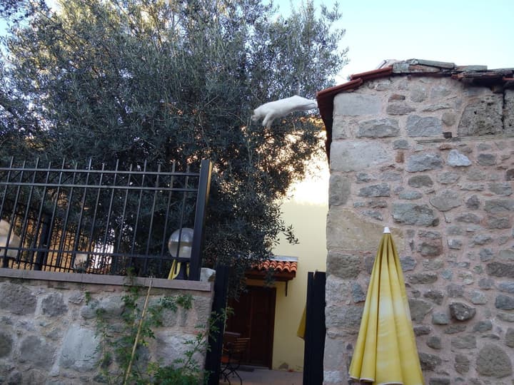 Aristonicus Boutique Hotel