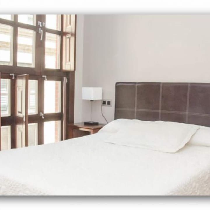 Salamanca Centro Apartamentos