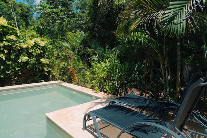 Aldea Coba a Comfortable Sleep in the Jungle