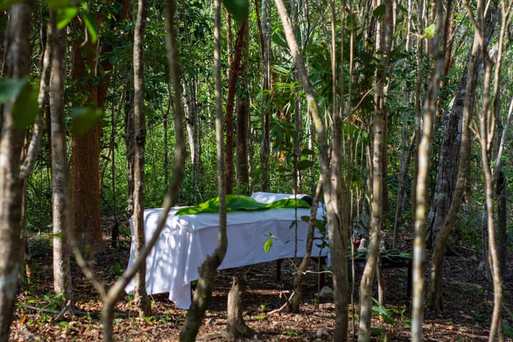Aldea Coba a Comfortable Sleep in the Jungle