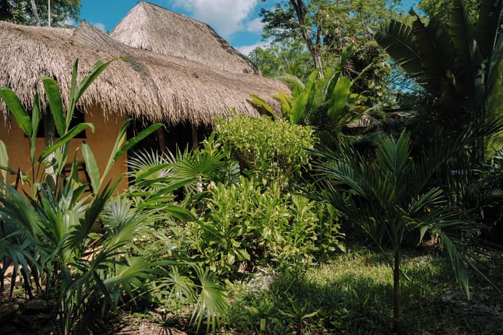 Aldea Coba a Comfortable Sleep in the Jungle