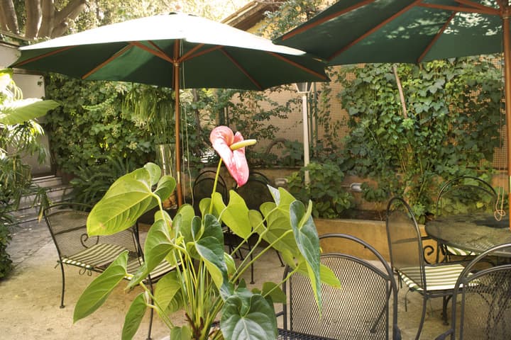 Hotel Villa delle Rose
