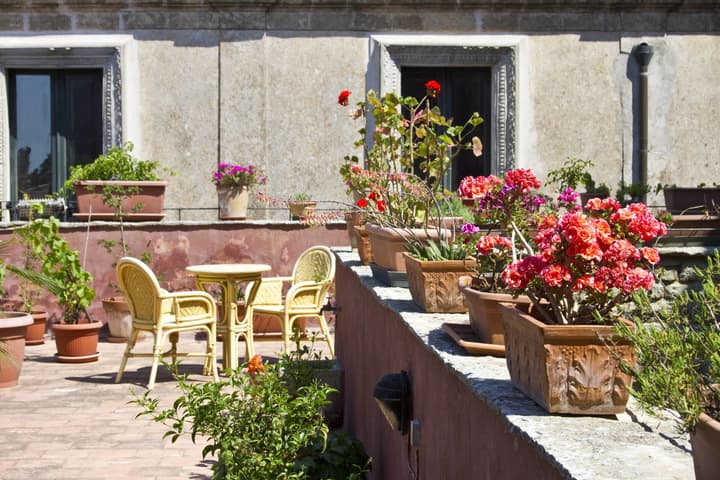 Hotel Elimo