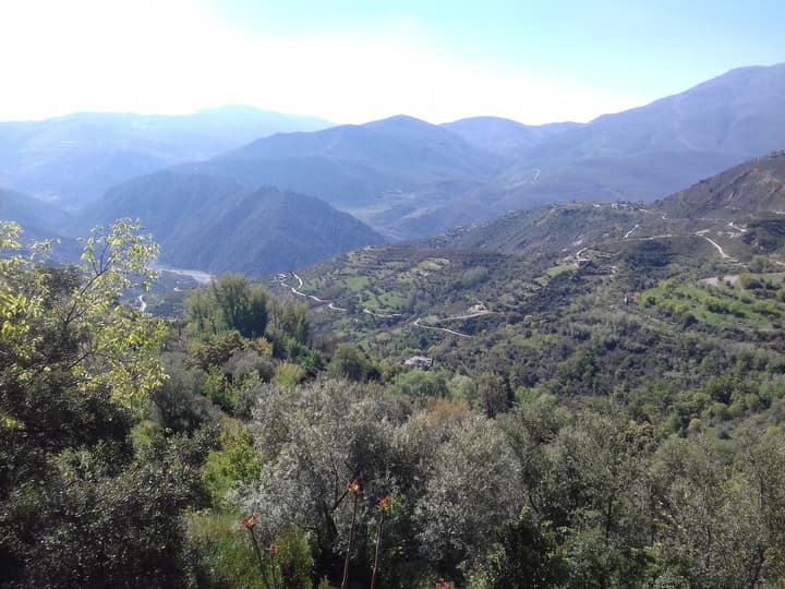 Dreams Alpujarra