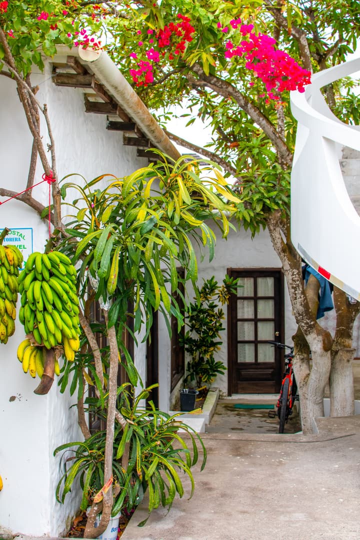 Gran Hostal Tintorera