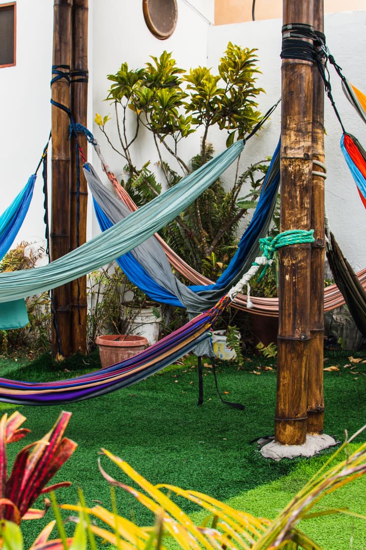 Gran Hostal Tintorera