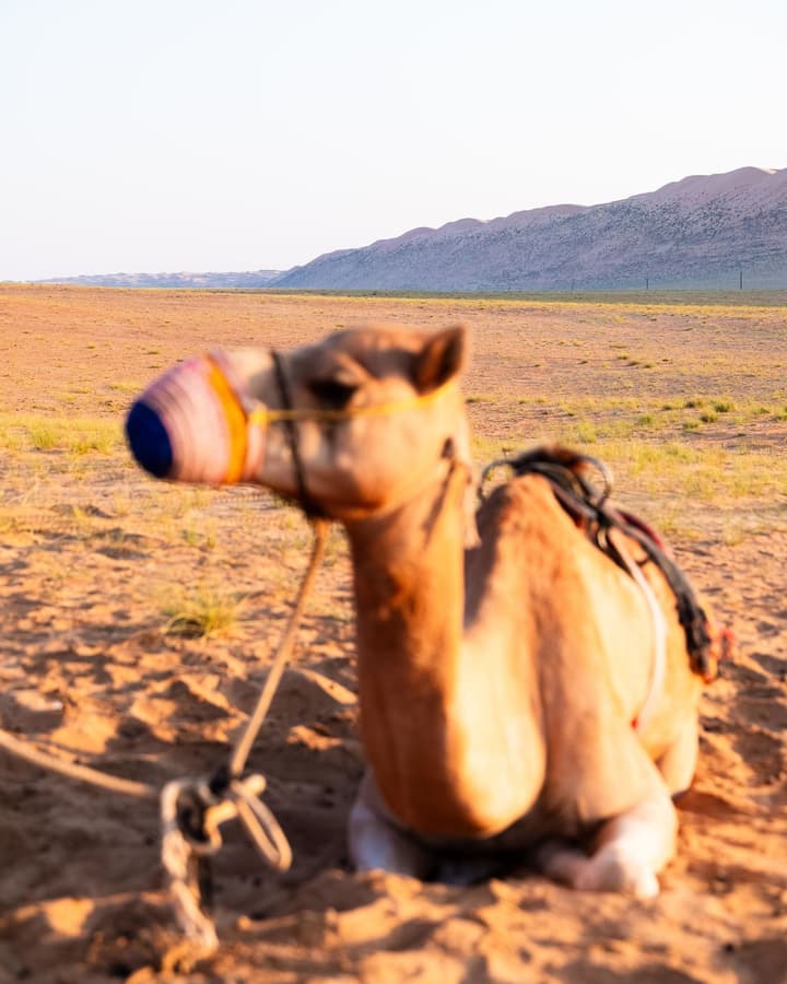 Thousand Nights-Ash Sharqiyah Sands