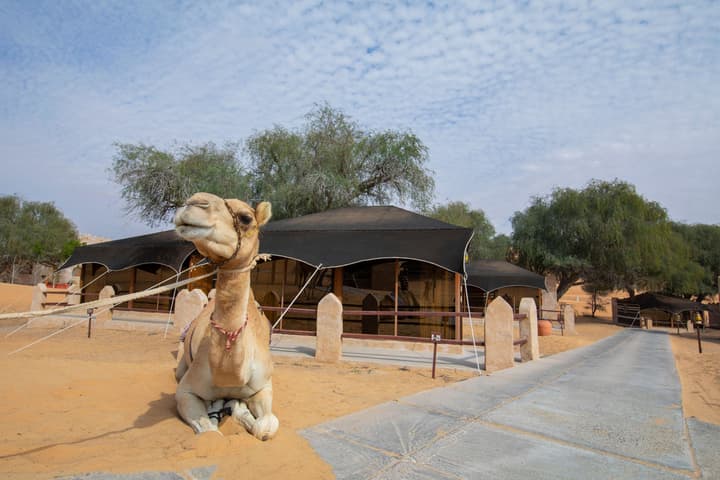 Thousand Nights-Ash Sharqiyah Sands