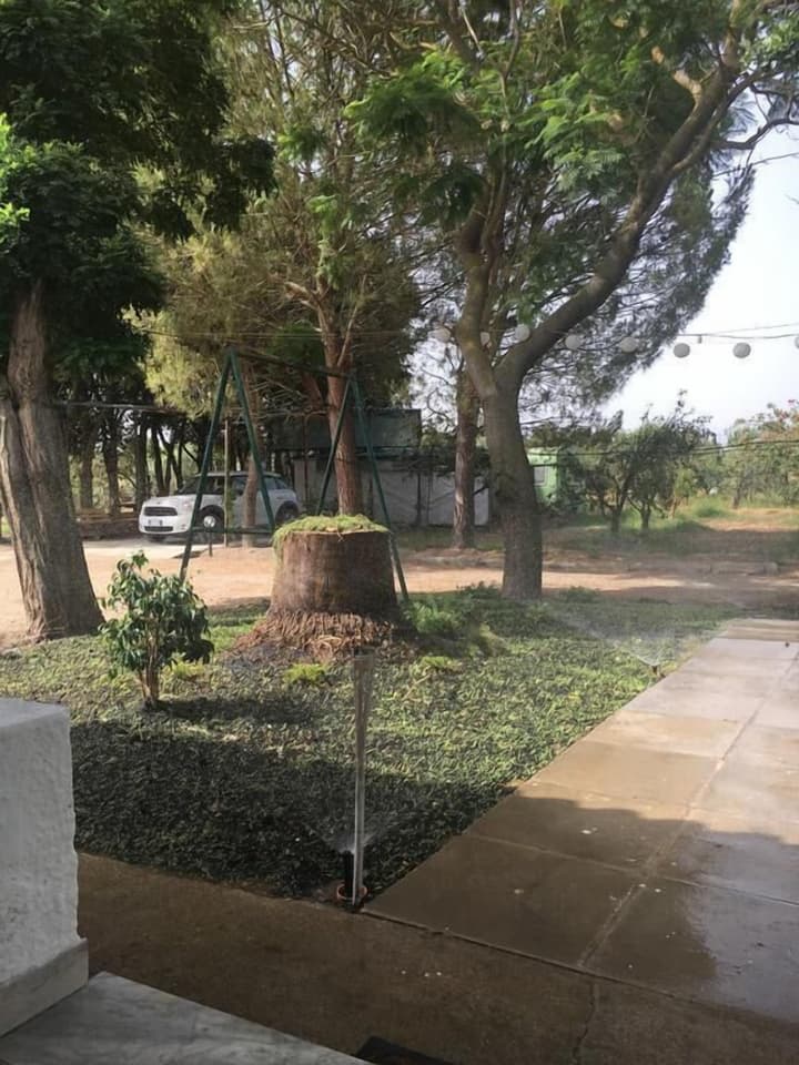 BeB il Pomo D'Oro