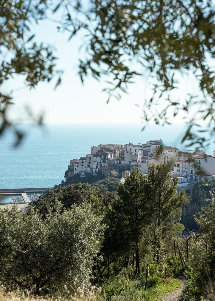 Hotel Belvedere
