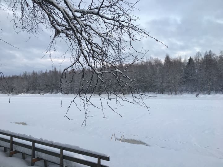 Lomavekarit