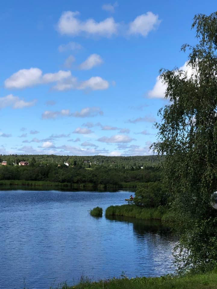 Lomavekarit