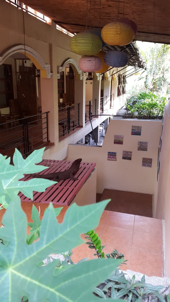 Centro Bajo Hotel