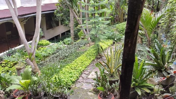Centro Bajo Hotel