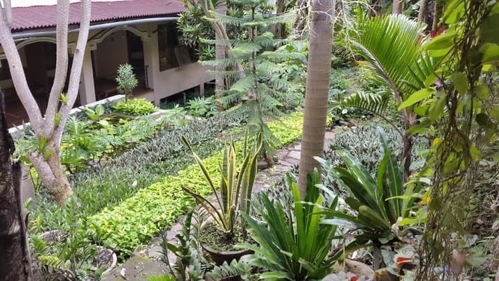 Centro Bajo Hotel
