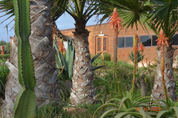 Dakhla Kitesurf world