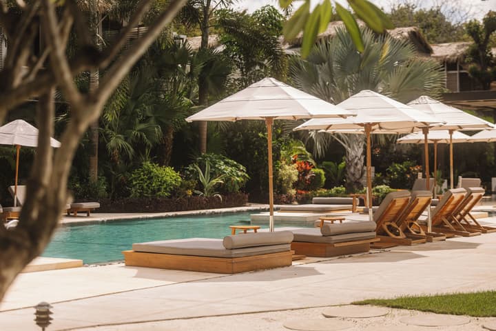 The Gilded Iguana Surf Hotel