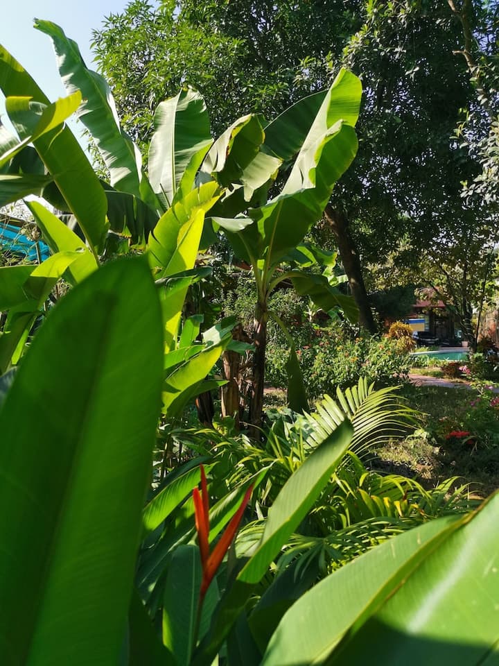 Tam Coc Moonlight Bungalow