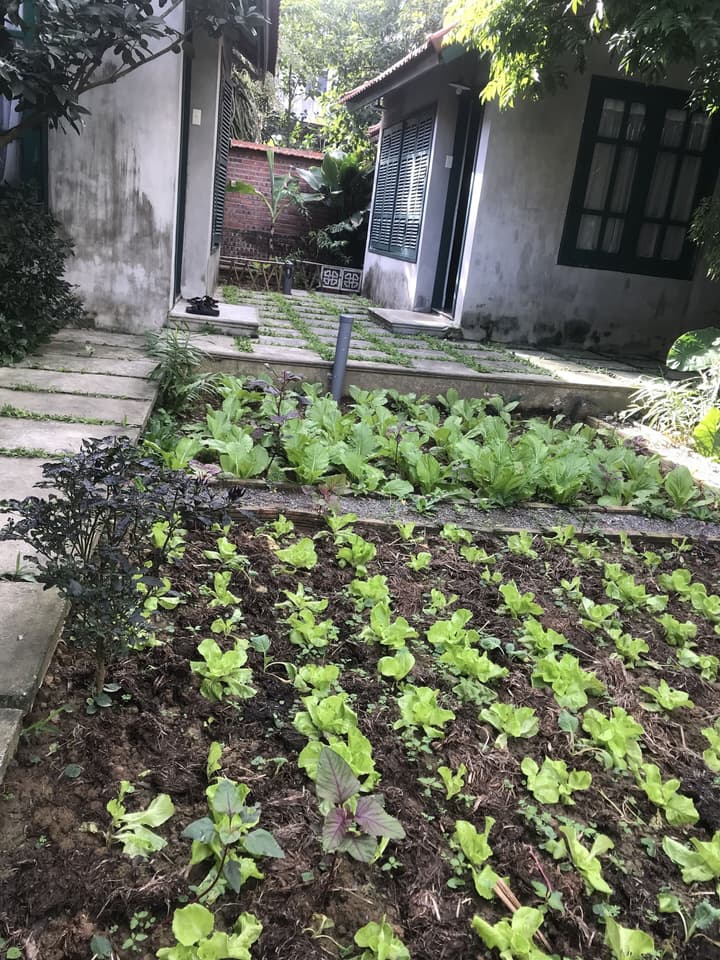 Tam Coc Eco House
