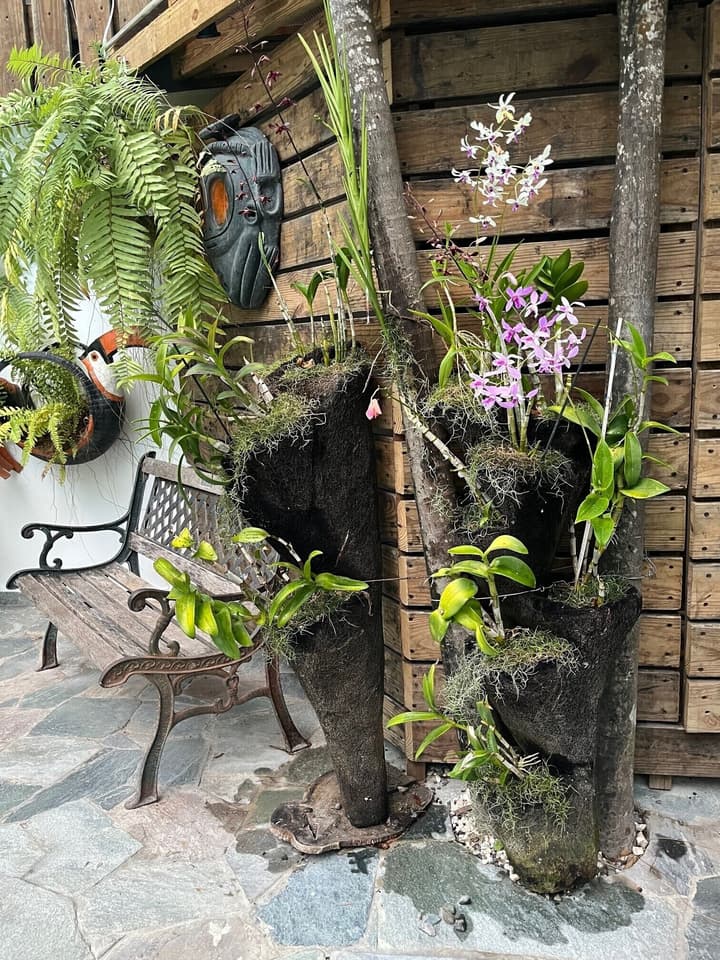 Batey Hotel Boutique