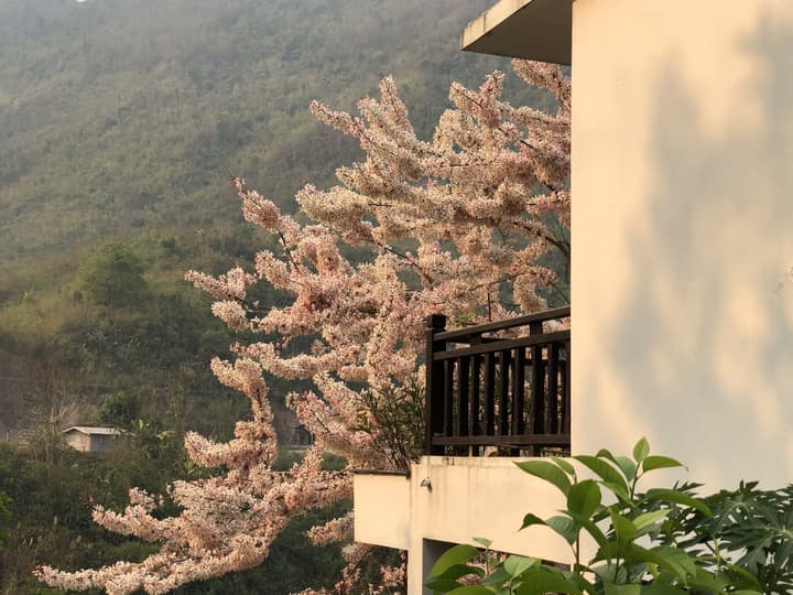 Le Grand Pakbeng Resort