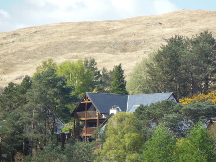 Treetops B&B