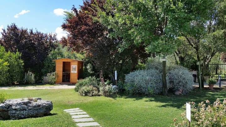 Saturnia Glamping - Seme di Carota