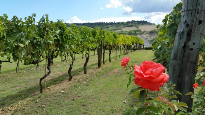 Saturnia Glamping - Seme di Carota